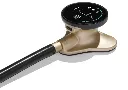 Core champagne.webp