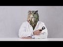 youtube - [Video]