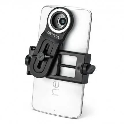 adapt 2.webp