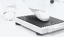 seca_877(3).webp