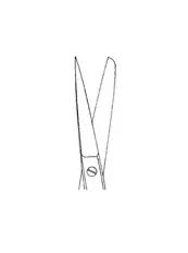Image1.webp