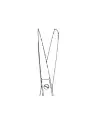 Image1.webp
