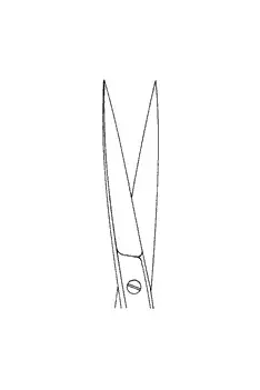 Image2.webp