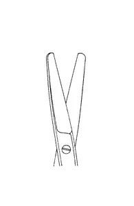image3.webp