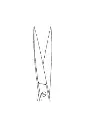 Image2.webp
