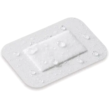 fa281c2.webp