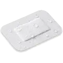 fa281c2.webp