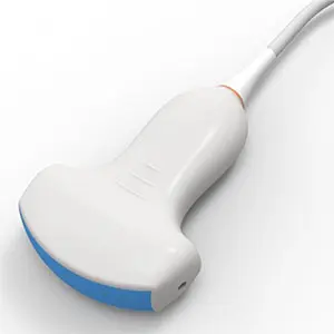 C5-2Q-300.webp