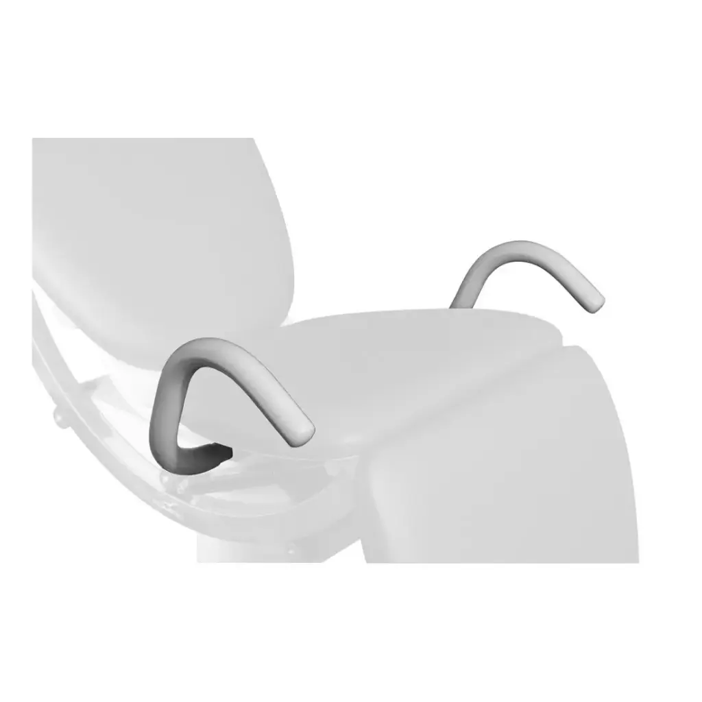 Paire de poignees d'assistance deneo