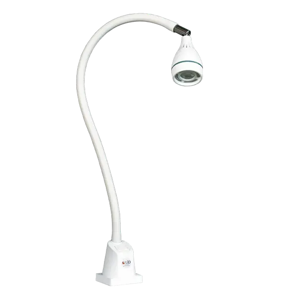 Lampe LED CARLA 4.2W L.123 cm (sans fixation)