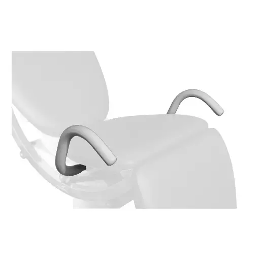 [PROM80922-10] Paire de poignees d'assistance deneo